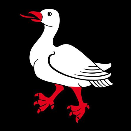 Sargans flag